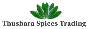 Cinnamon oil Exporter and Producer in Sri Lanka